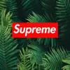 MATT THE Trainer - @matt.the.trainer - TikTok