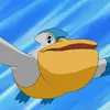Trainer Matt - @trainer.matt - TikTok