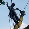 Matt and Trees - @matt.and.trees - TikTok