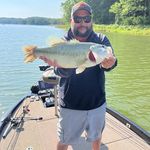 Matt Trees - @iutrees74 - Instagram