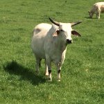 Matt Trotter - @trotter635 - Instagram