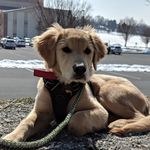 Matt Uhrich - @matt_uhrich - Instagram