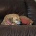 Matt Vargo - Facebook