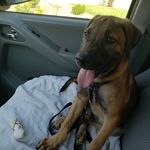 Matthew J Vedder - @matthew.vedder - Instagram