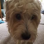 matt vernon - @mpv.enigma - Instagram