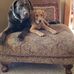 Matt Vernon - Facebook