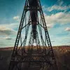 mattvernon863 - @mattvernon863 - TikTok