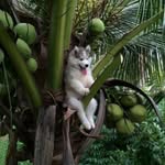 Matt Victor - @bolavictor12 - Instagram