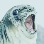 Mateja Jovsic - @mattviness - Instagram