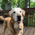 Matt Wadley - Facebook