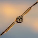 Matt Waggoner - @mwagg737 - Instagram