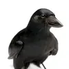 Matt Waldman - @mattwaldmanrsp - TikTok