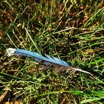 Matt Waldo - @mpwaldo - Instagram