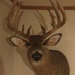 Matt Waltz - @mattwaltz15 - Instagram
