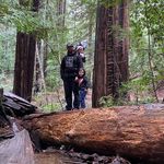 Matt Waltz - @matt_waltz - Instagram
