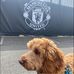 Matthew Whitmore - Facebook