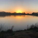 Matt Wickens - @matt.wickens.9 - Instagram