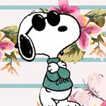 @mattwilbur - Instagram