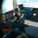 Matt Wilding - Facebook