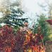 Matt Wilkinson - Facebook