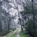 Matt Willson - Facebook