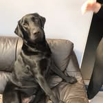 Matt Wilmore - @matt_wilmore - Instagram