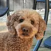 matthewwilmore - @matthewwilmore - TikTok