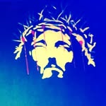 Matt Windsor - @matt.windsor.31 - Instagram
