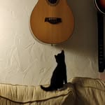 Matt Withers - @mattjwithers - Instagram