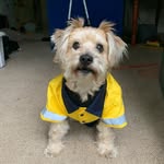 Matt Withers - @matt.bungle - Instagram