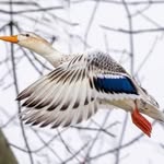 @mattwithrow21 - Instagram