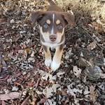 Matt Wittenberg - @mlwitt03 - Instagram