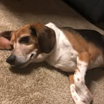 Matthew Wittenberg - @matthew.wittenberg - Instagram
