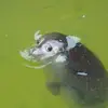 matt_witty - @matt_witty - TikTok