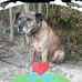 Matt Wright - Facebook