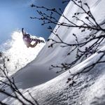 Matthias Zauner - @matthias.zauner - Instagram