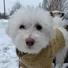 Mattea Smith681 - @matteasmith681 - TikTok