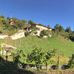 Matteo Amato - Facebook
