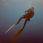 Matteo Amato - @matte.dive - Instagram