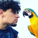 Matteo Morelli - @matteomorelli_96 - Instagram