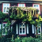 Matthew M. Able - @matthew.able - Instagram