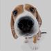 Matthew Abner - Facebook