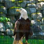 Matthew Ackley - @mackleynature - Instagram