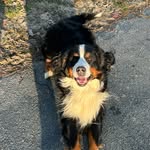 Matthew Adkins - @matt.adkin.s - Instagram