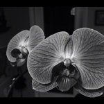 @matthew_adkins - Instagram