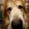 Matthew Adkins - @matthew.adkins6 - TikTok