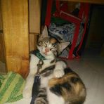 Matthew Zeus Afable - Facebook