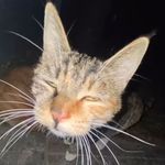 Matthew Agustin - @mashuu.16 - Instagram
