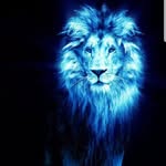 Matthew Aiken - @aiken.matthew - Instagram