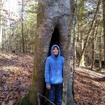 Matthew Alsip - @matthew.alsip.94 - Instagram
